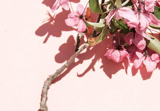 什么是哺乳期妇女，哺乳期、哺乳假和哺乳时间