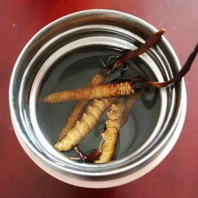 燕盏如何食用，一盏6克的燕窝吃几次（虫草炖燕窝最好吃的做法）