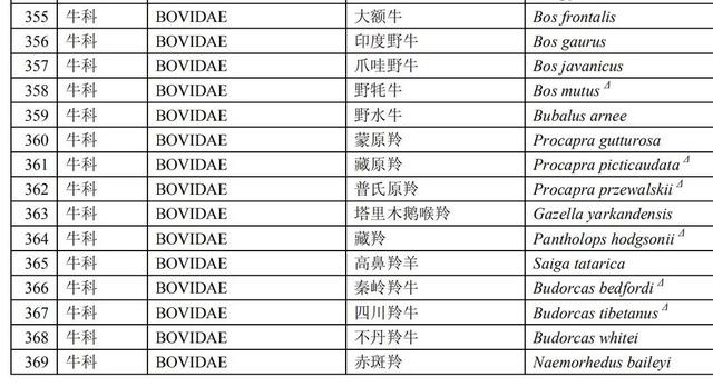 倒嚼是什么意思，倒嚼的读音（冷知识丨有些动物叫牛不是牛）