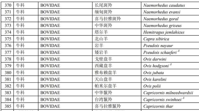 倒嚼是什么意思，倒嚼的读音（冷知识丨有些动物叫牛不是牛）