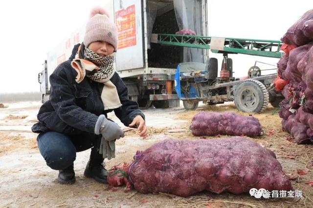马丁扬克说女人原文，张马丁是哪里人（金昌市女文艺工作者庆祝“三八”节艺术作品展）