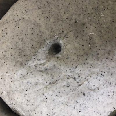 奶黄包的馅怎么做，最正宗的奶黄馅做法（人气家常下饭菜奶黄南瓜包）