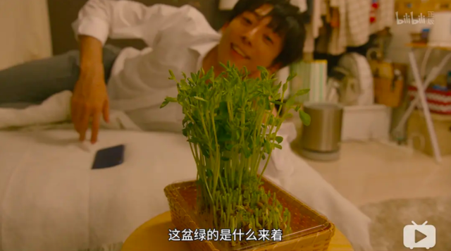 盲盒里端盒什么意思，盲盒什么叫端盒（解析《乡村爱情》盲盒出圈爆火背后）