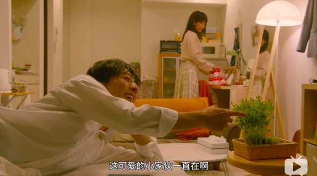 盲盒里端盒什么意思，盲盒什么叫端盒（解析《乡村爱情》盲盒出圈爆火背后）