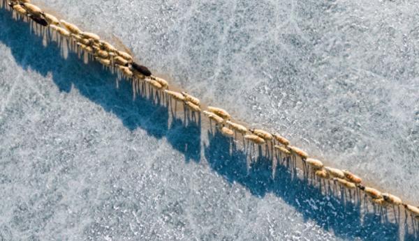 ppt背景填充预设为雨后初晴，PPT的背景雨后初晴如何设置（调查“神医宇宙”）