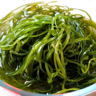 湿海带丝怎么凉拌，湿海带丝凉拌用焯水吗（一大盆可以吃一周）