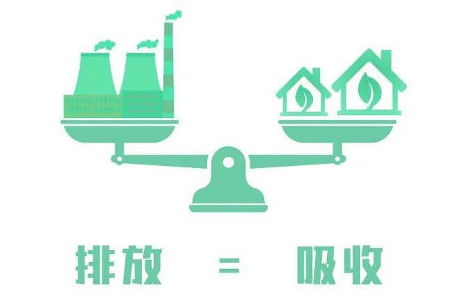 植树节的意义，植树节，重新思考植树的意义