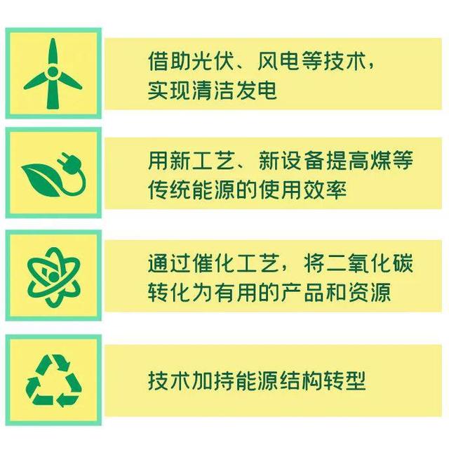 植树节的意义，植树节，重新思考植树的意义