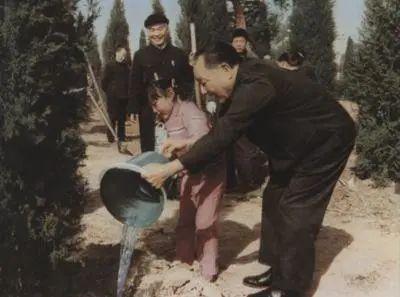 一个木一个隶是什么字，一个木一个隶读什么文（植树节丨一起来认识和“木”有关的汉字）