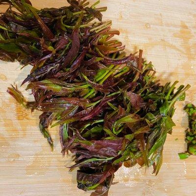 凉拌香椿的正确吃法，手残党必学菜谱之凉拌椿芽