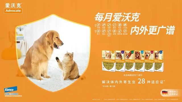 家里如何驱虫防虫，家里怎样防虫（虫子都在你家宠物身上开party了）