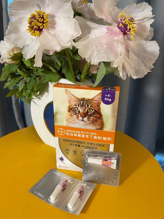 家里如何驱虫防虫，家里怎样防虫（虫子都在你家宠物身上开party了）