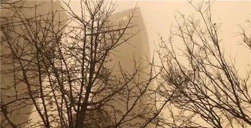 遇到沙尘暴怎么办，旅游遇到沙尘暴应该怎么办（最强沙尘天席卷12省份）