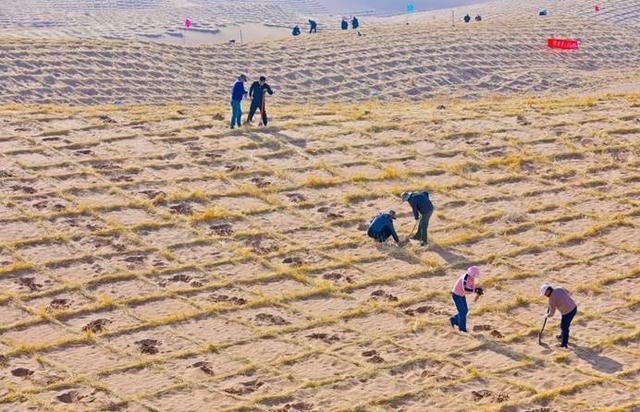 2018年三北工程荣获（三北防护林为啥没挡住沙尘）
