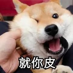 为什么要禁用聿字取名，聿字能取名吗（可以给孩子取名为王者荣耀吗）