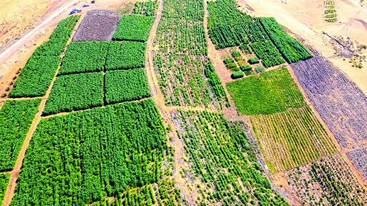 乌兰布和沙漠是我国几大沙漠之一，中国八大沙漠之一乌兰布和治理背后隐忧