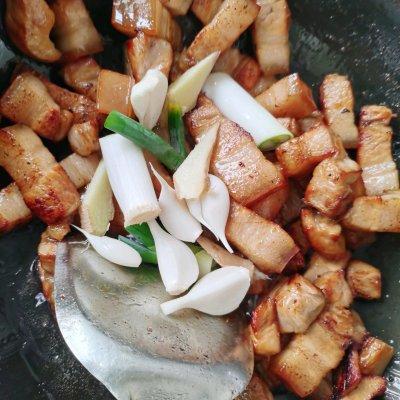 怎样做红烧猪肉，怎样做红烧猪肉最好吃（一定要收藏的红烧肉）