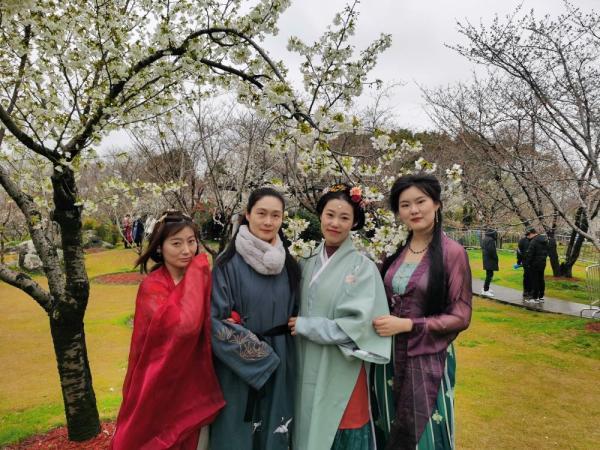 共青城都市网官网，共青城都市网官网招聘（樱花烂漫时，市民游客以裳会友）