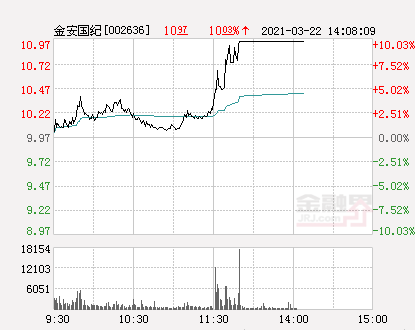 金安国纪股票，金安国纪股票怎么样（快讯：金安国纪涨停）