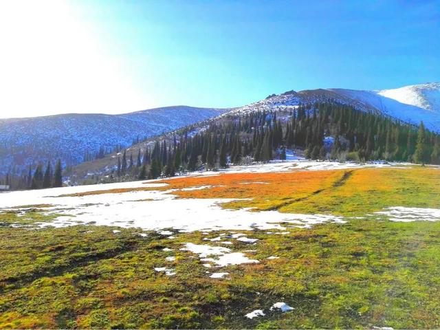 新疆平均海拔多少，新疆平均海拔多少高（这，就是新疆！）