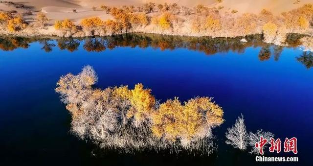 新疆平均海拔多少，新疆平均海拔多少高（这，就是新疆！）