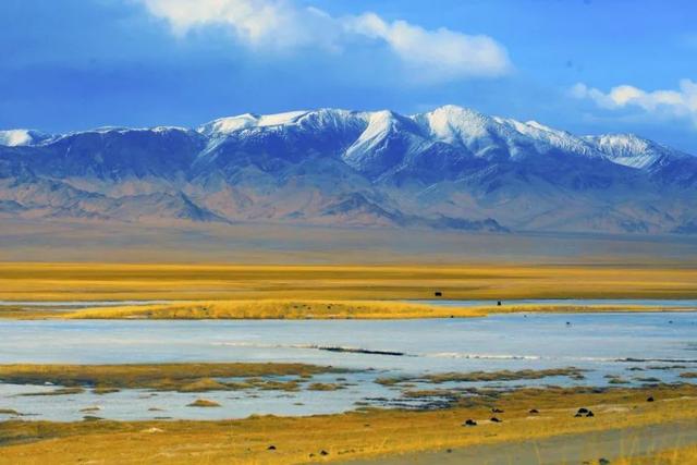 新疆平均海拔多少，新疆平均海拔多少高（这，就是新疆！）