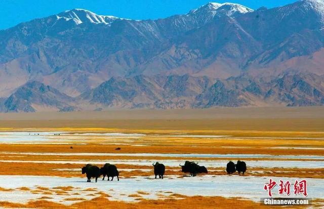 新疆平均海拔多少，新疆平均海拔多少高（这，就是新疆！）