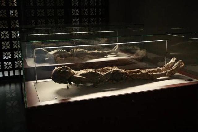 新疆平均海拔多少，新疆平均海拔多少高（这，就是新疆！）