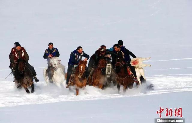 新疆平均海拔多少，新疆平均海拔多少高（这，就是新疆！）