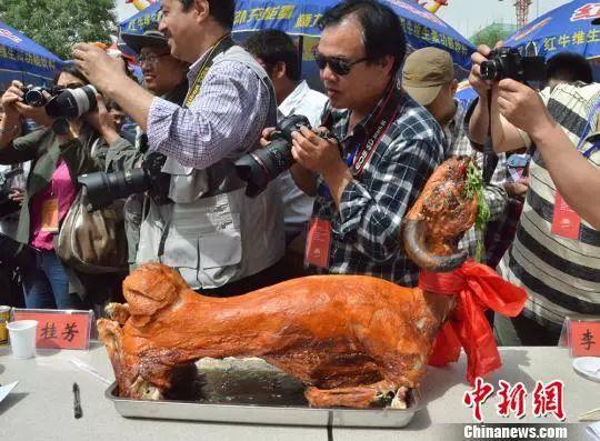 新疆平均海拔多少，新疆平均海拔多少高（这，就是新疆！）