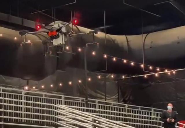 40磅等于多少公斤，40磅等于多少牛（疫情中的美国开拍卖会）