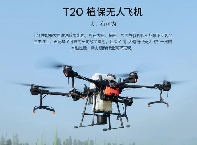 40磅等于多少公斤，40磅等于多少牛（疫情中的美国开拍卖会）