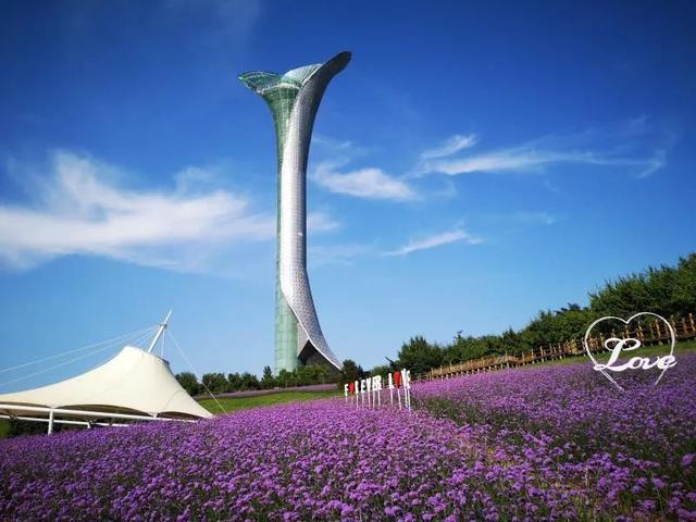 沈阳植物园怎么走，东北三省旅游景点（沈阳市植物园明天起开园）