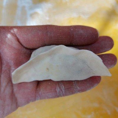 饺子粉适合做什么，饺子粉可以做什么（美味尝鲜#你绝对没吃过的燕麦面韭菜鸡蛋豆腐馅饺子）