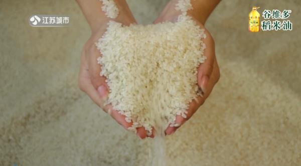 谷类食物中什么营养物质含量最高，谷类食品含量最高的成分是什么（长期吃精米精面易造成营养缺乏）