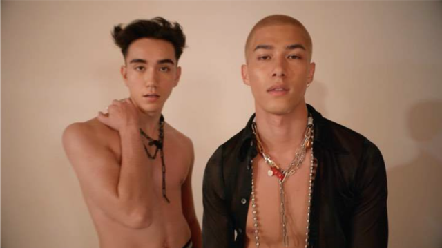 爱豆的意思，爱豆的意思和来源（重识“偶像”的四个词）