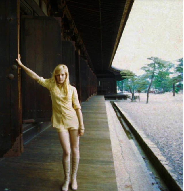 爱豆的意思，爱豆的意思和来源（重识“偶像”的四个词）