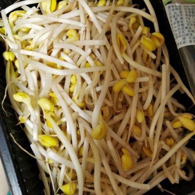 拌豆芽凉菜的做法，自制豆芽菜凉拌方法（快手菜凉拌黄豆芽）