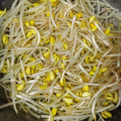 拌豆芽凉菜的做法，自制豆芽菜凉拌方法（快手菜凉拌黄豆芽）