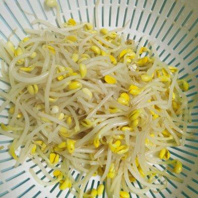 拌豆芽凉菜的做法，自制豆芽菜凉拌方法（快手菜凉拌黄豆芽）