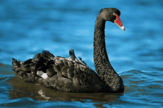 苏州乐园门票多少钱，苏州乐园门票包含什么项目（20张苏州乐园门票免费送）