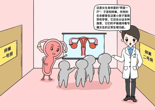 没有性生活的女人，一辈子没有性生活的女人会怎么样（没有性生活的女性是不会得妇科病的）