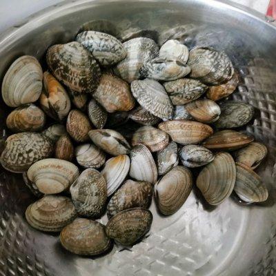 花蛤怎么做好吃，花蛤如何做更好吃（让食客踏破门槛的的爆炒花蛤做法）