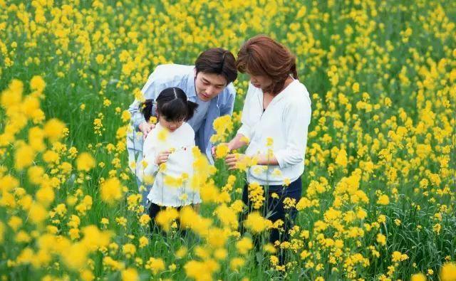 清明是几月几日，清明是几号（长这么大，你真的懂清明节吗）