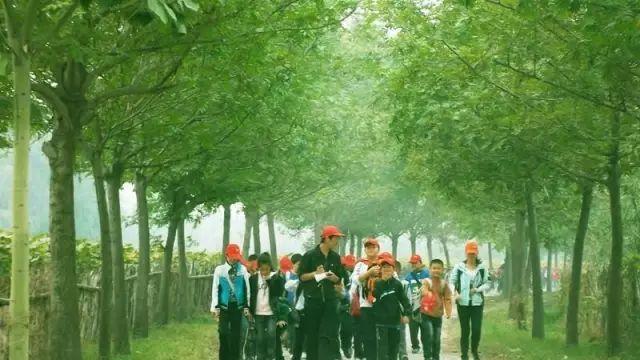 清明是几月几日，清明是几号（长这么大，你真的懂清明节吗）