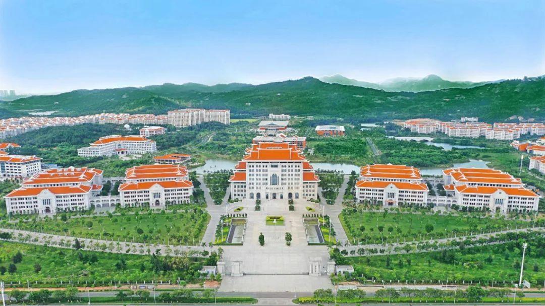 厦门集美大学校鸡（宁可卖大厦）
