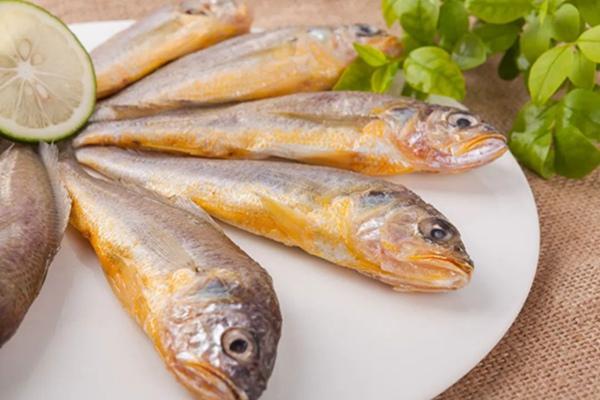 什么鱼肉没有刺呢，什么鱼没有刺肉嫩（鲜美又少刺）