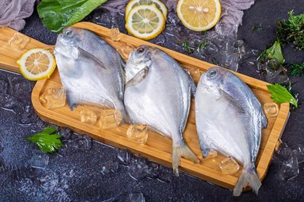 什么鱼肉没有刺呢，什么鱼没有刺肉嫩（鲜美又少刺）