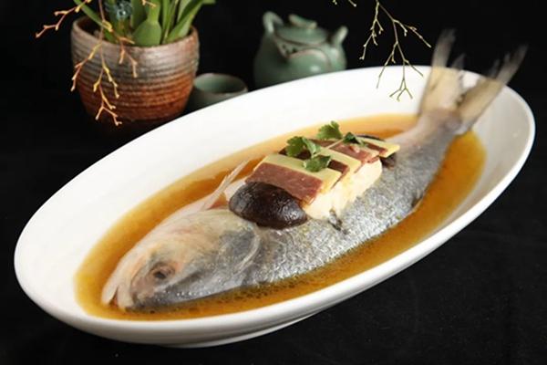 什么鱼肉没有刺呢，什么鱼没有刺肉嫩（鲜美又少刺）