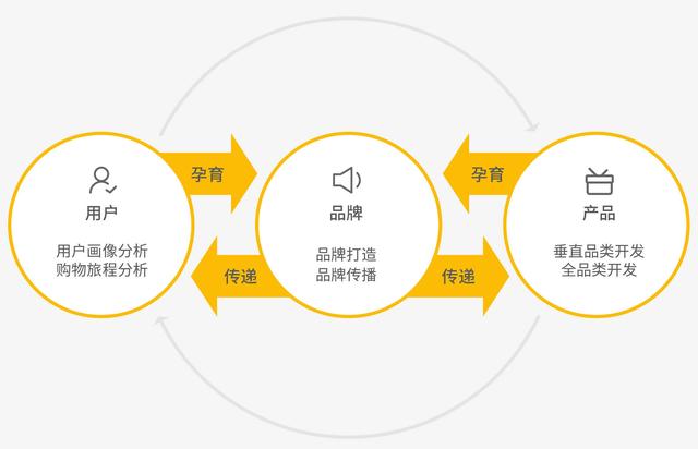 八个月的宝宝吃什么，八个月的宝宝能吃什么（如何建设跨境电商品牌）